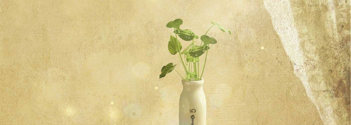 C# 判断object对象是否为List集合且存在元素