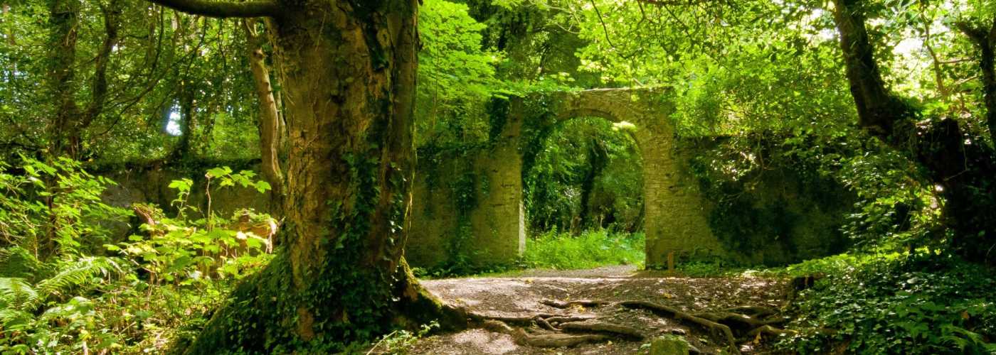 MicroSoft.Owin 自托管 WebApi