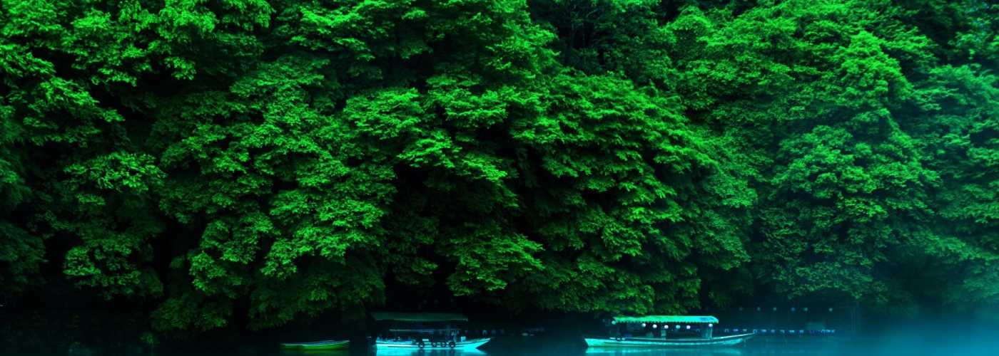 NET6 API项目在Windows及Linux部署过程